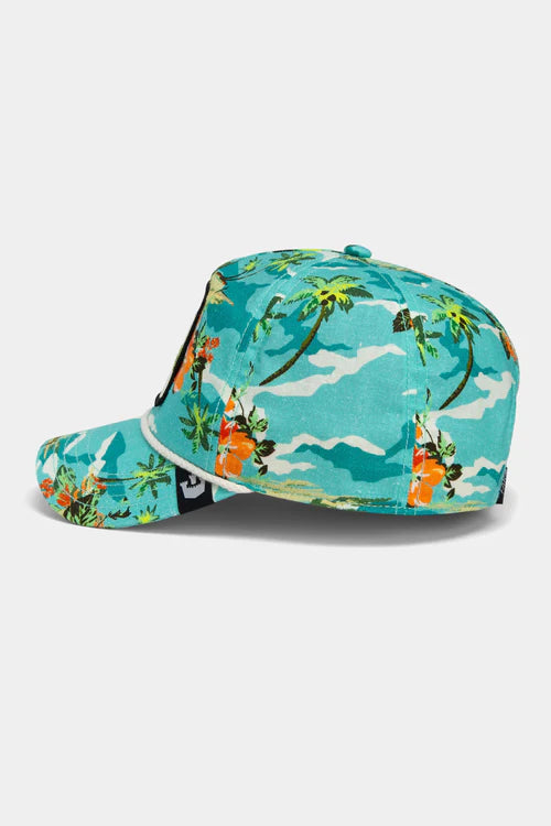Gorra curva azul snapback libélula Buzzed Hapy Our Salty Rim The Farm de Goorin Bros.