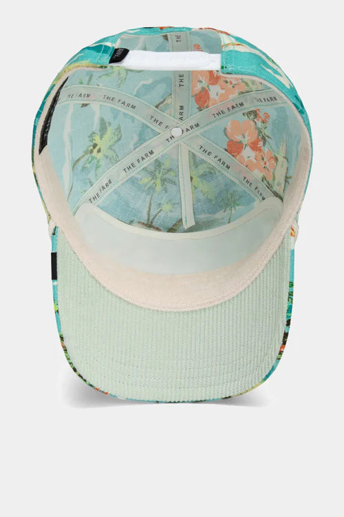 Gorra curva azul snapback libélula Buzzed Hapy Our Salty Rim The Farm de Goorin Bros.