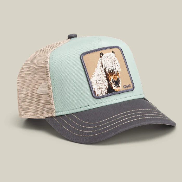 Gorra estilo Trucker con parche bordado de Goorin Bros Caballo chad