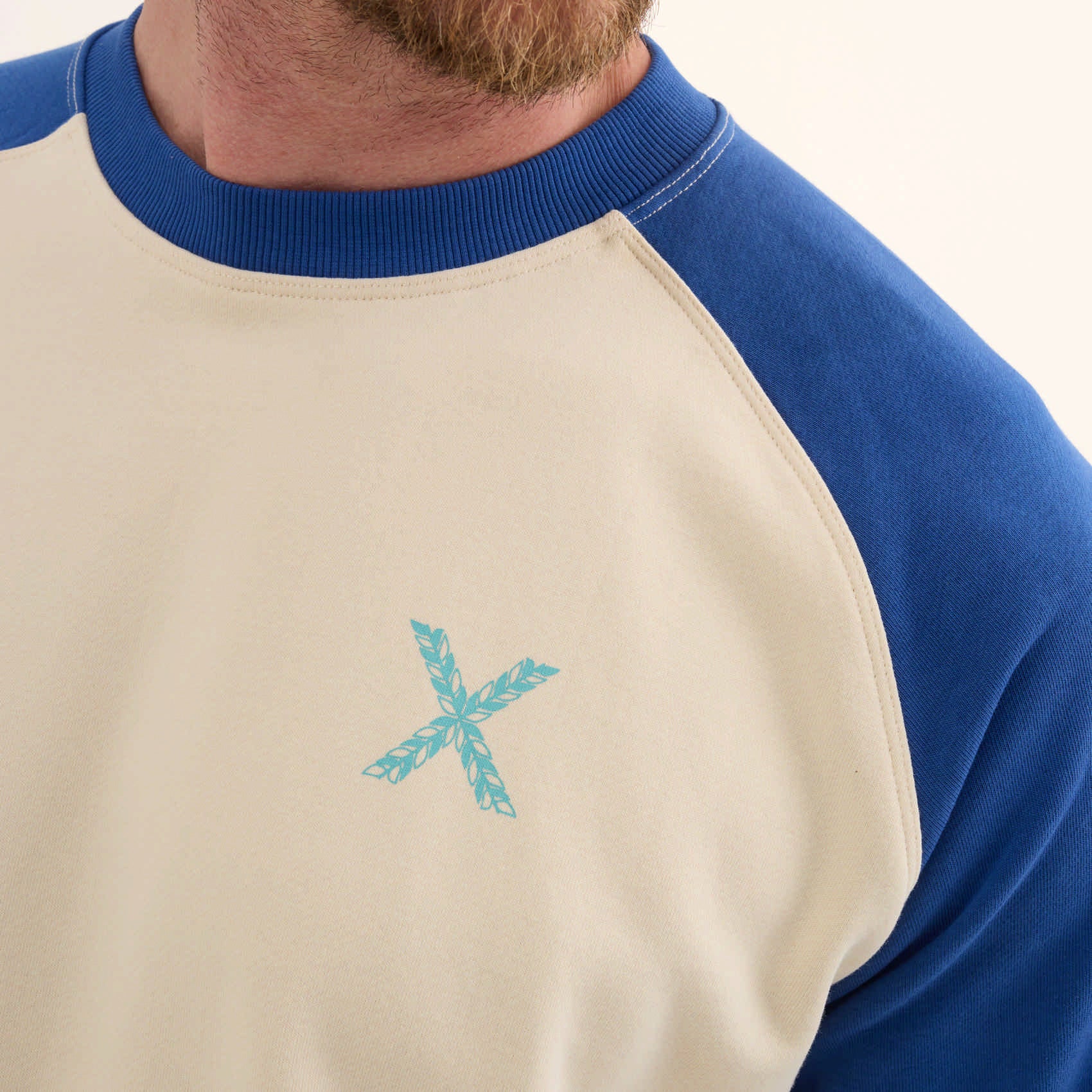 Sudadera Algodón Orgánico Mangas Raglán Azul LIFESTYLE SWEATSHIRT CHAD BLUE