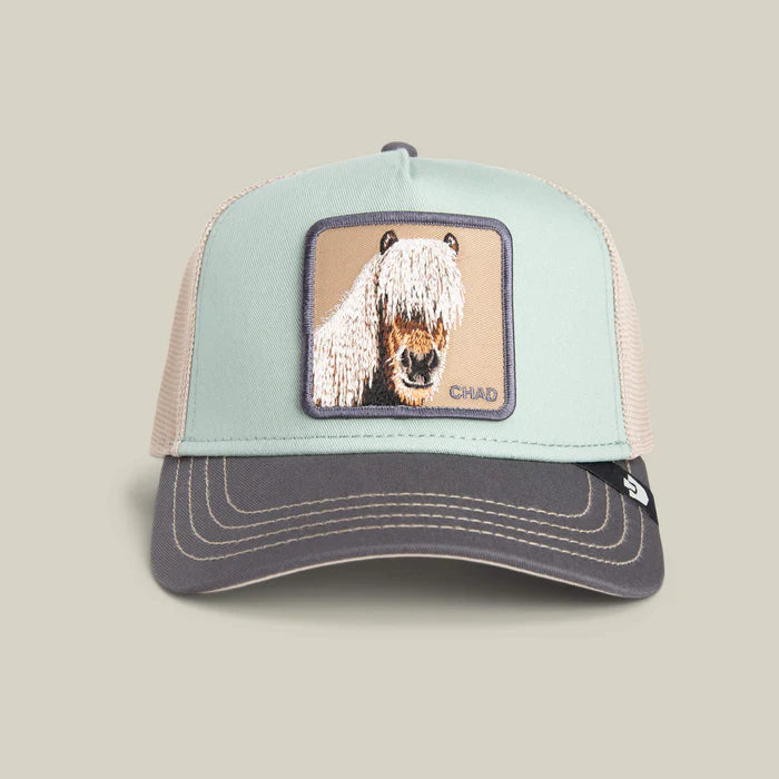 Gorra estilo Trucker con parche bordado de Goorin Bros Caballo chad