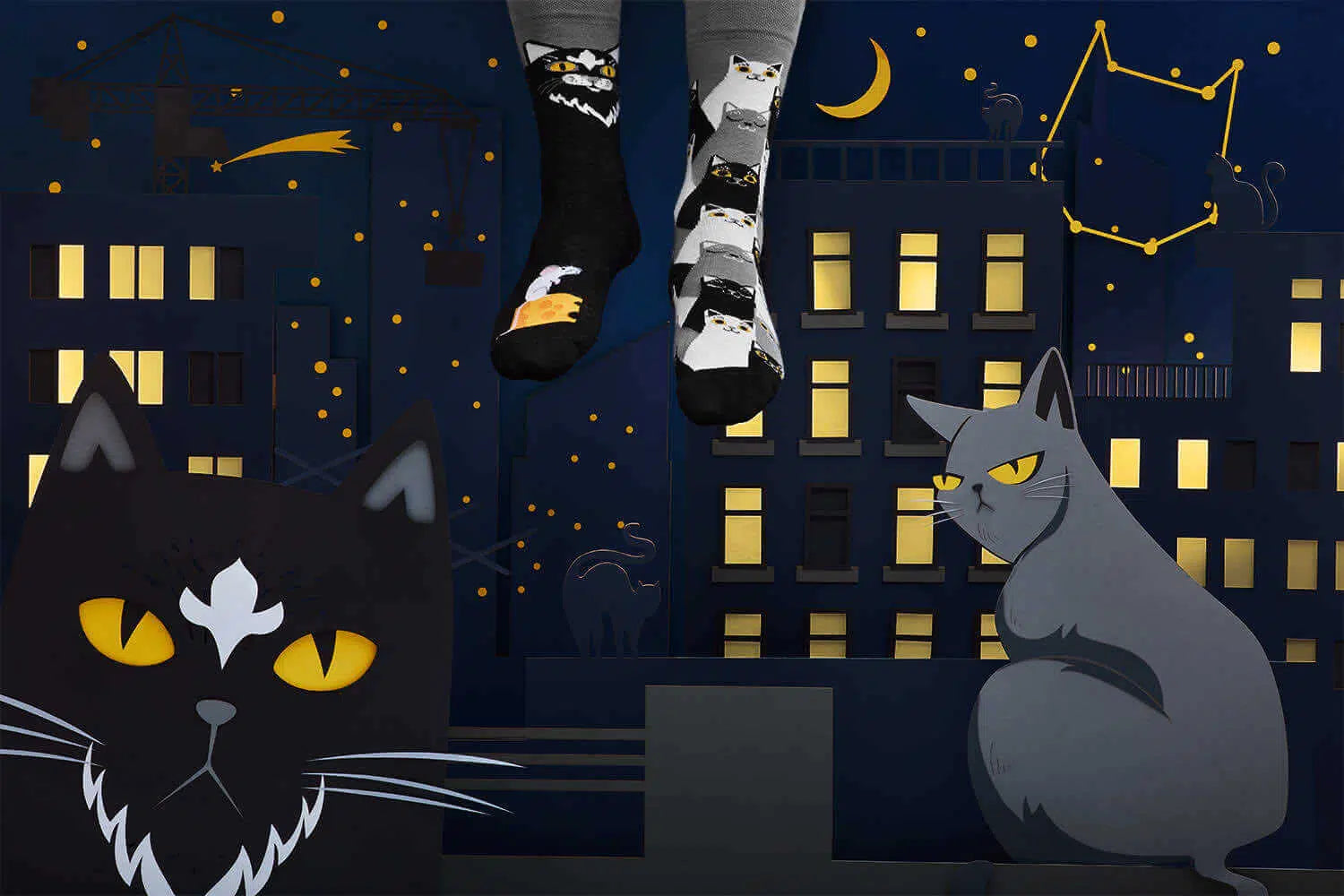 BLACK CAT